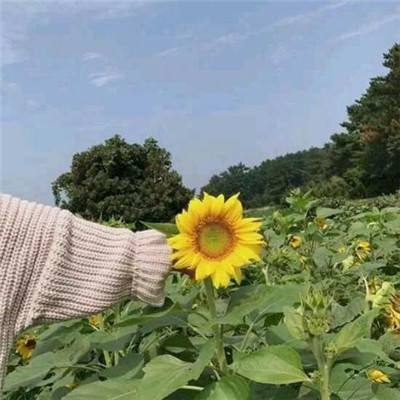奥特曼最终圣战游戏下载